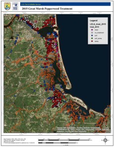 2015 Great Marsh pepperweed treatment map